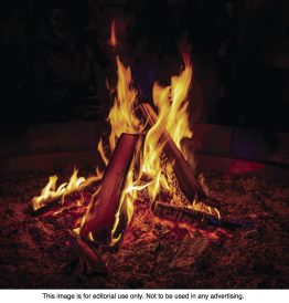 article image -